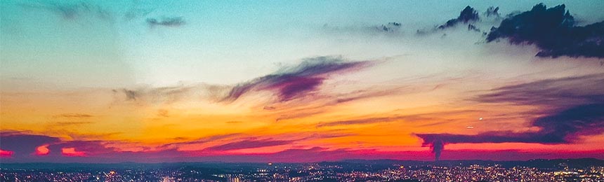 江门茶虫网_江门品茶